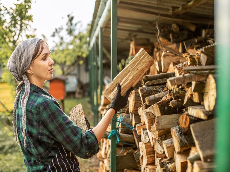 Duurzaam Verwarmen: Alles over Brandhout, Houtsoorten en de Aanschaf van een Houtkachel